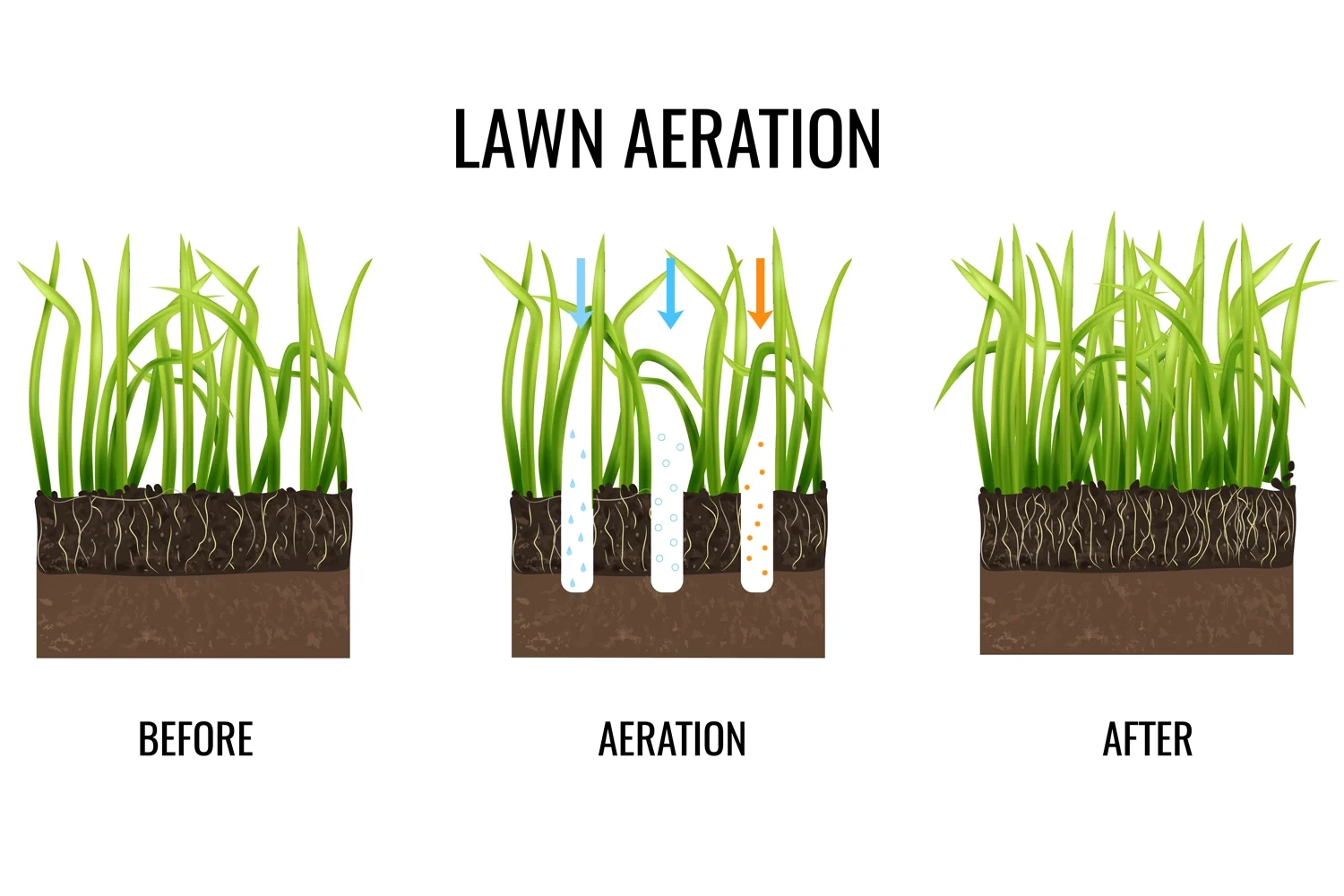 Lawn Aeration Connecticut