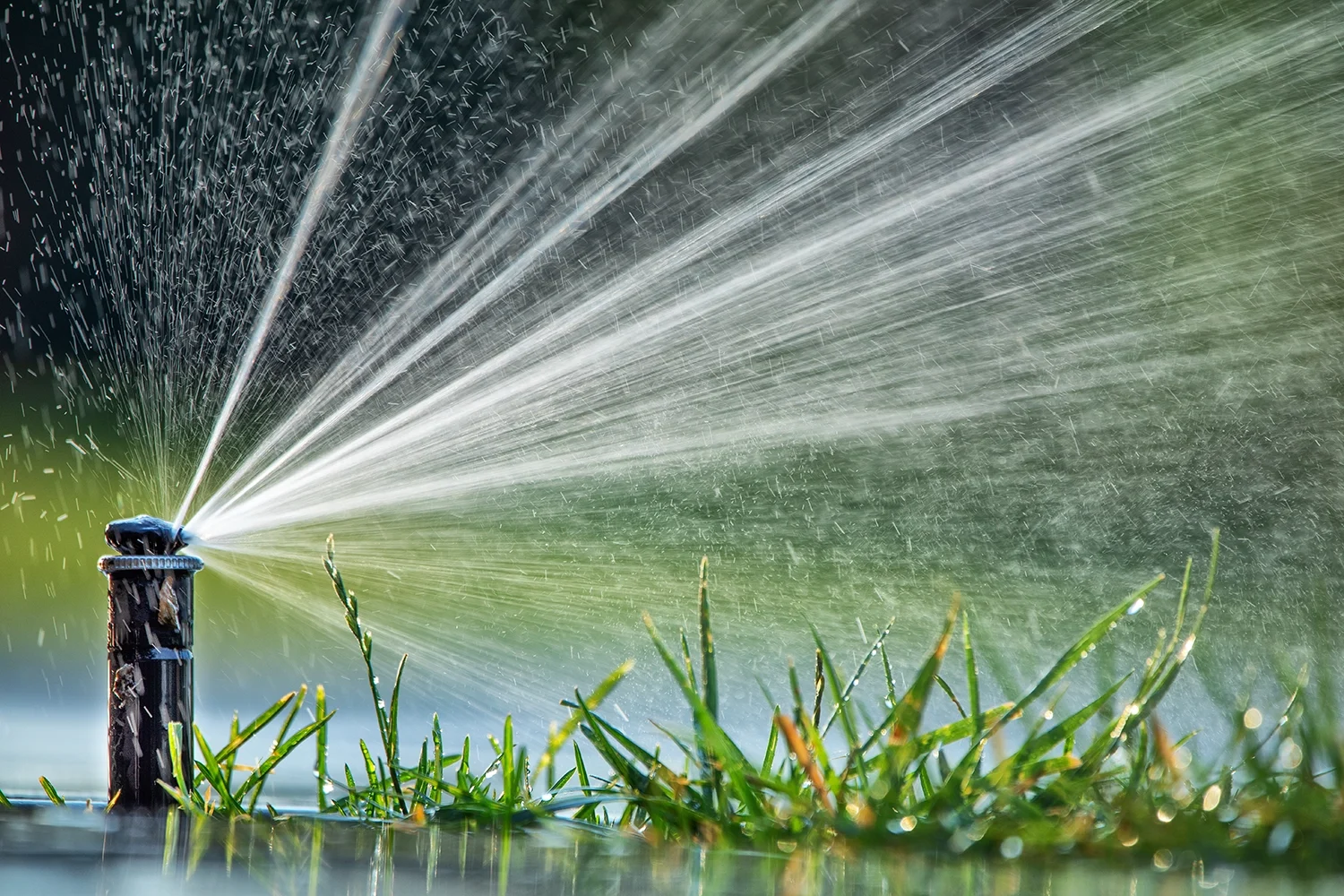 Sprinkler System Maintenance Wilton