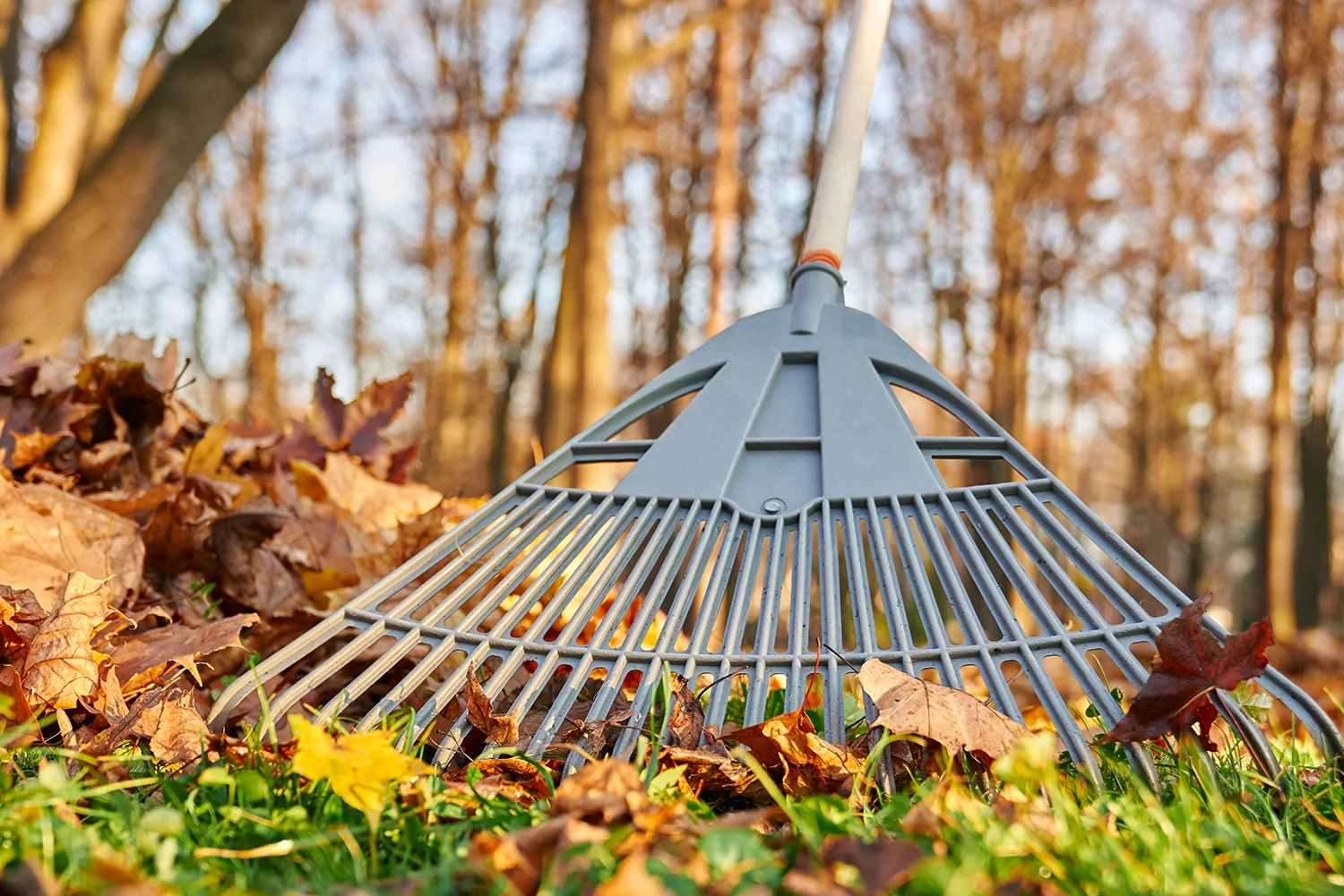 Spring and Fall Cleanups Wilton