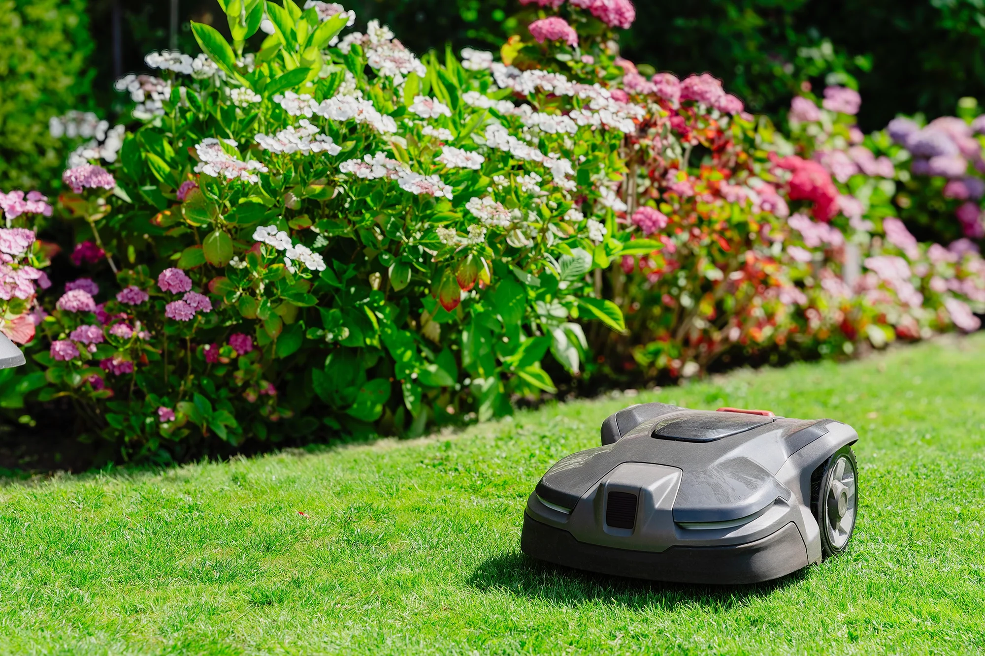 Garden Design Planting Services